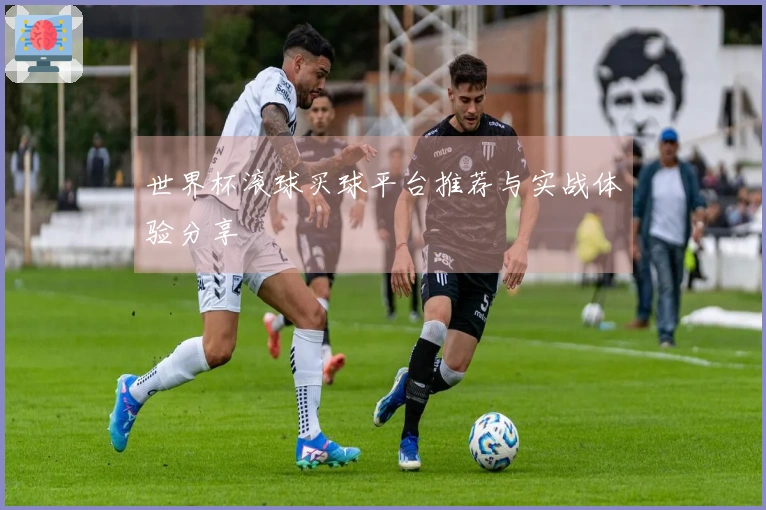 世界杯滚球买球平台推荐与实战体验分享