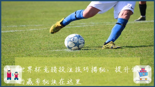 世界杯竞猜投注技巧揭秘，提升你的赢率秘诀在这里