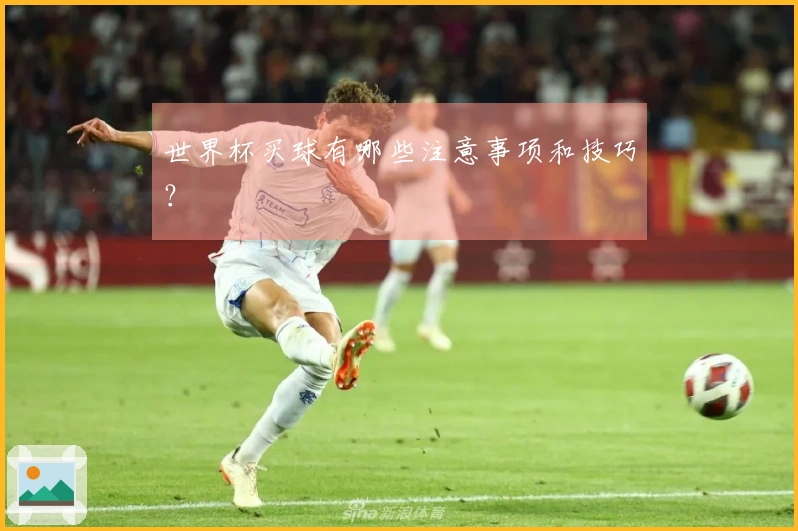 世界杯买球有哪些注意事项和技巧？