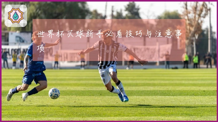 世界杯买球新手必看技巧与注意事项
