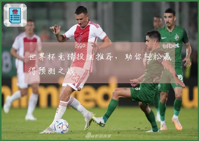 世界杯竞猜投注推荐，助你轻松赢得预测之战