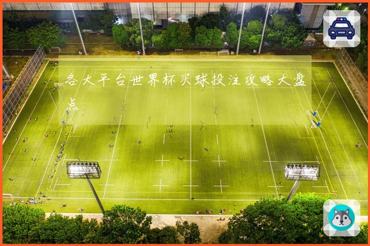 各大平台世界杯买球投注攻略大盘点